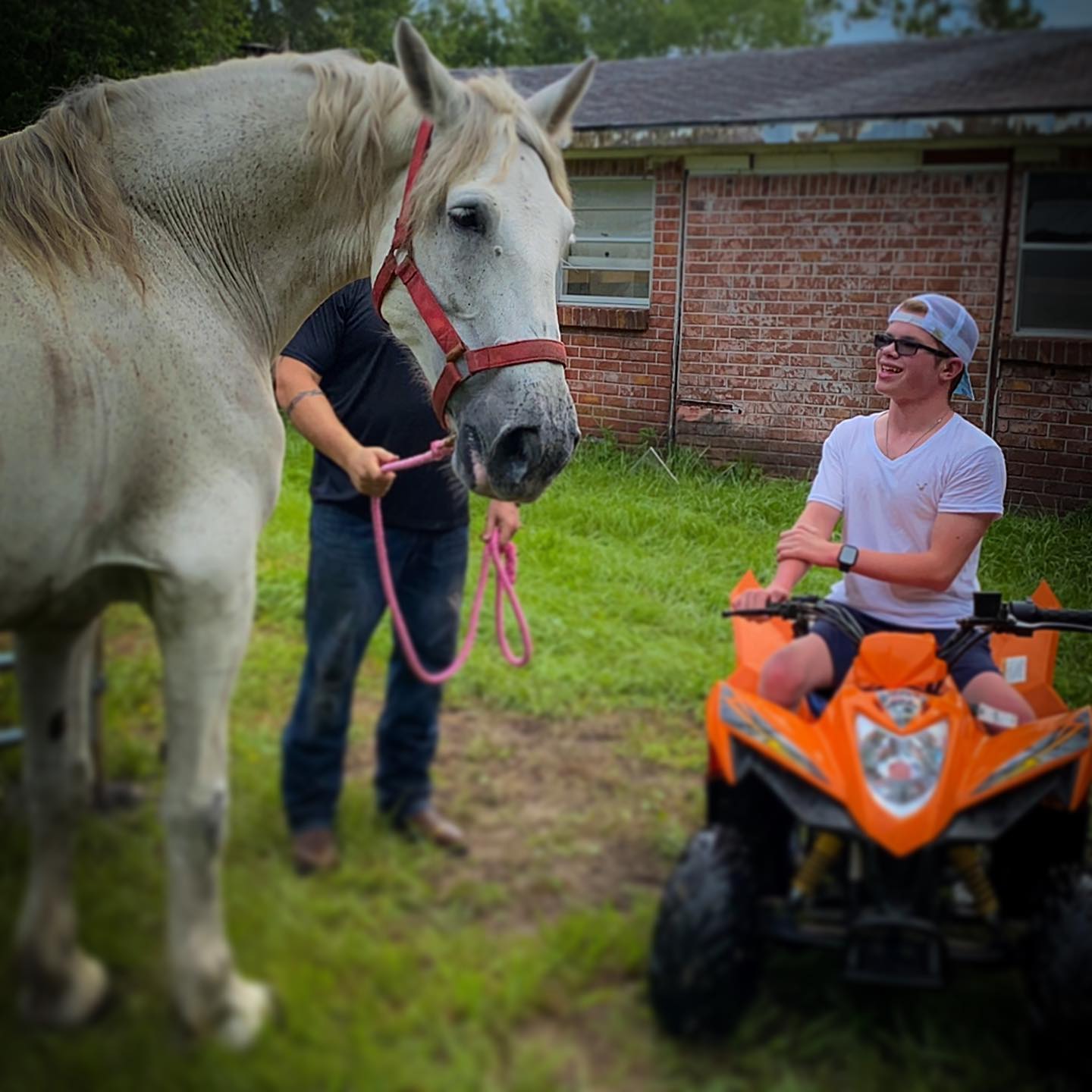 A large grey-and-white Percheron horse on a lead rope in a grassy yard, while Ryleigh Newman sits on an orange four-wheeler nearby looking up at the horse and smiling.