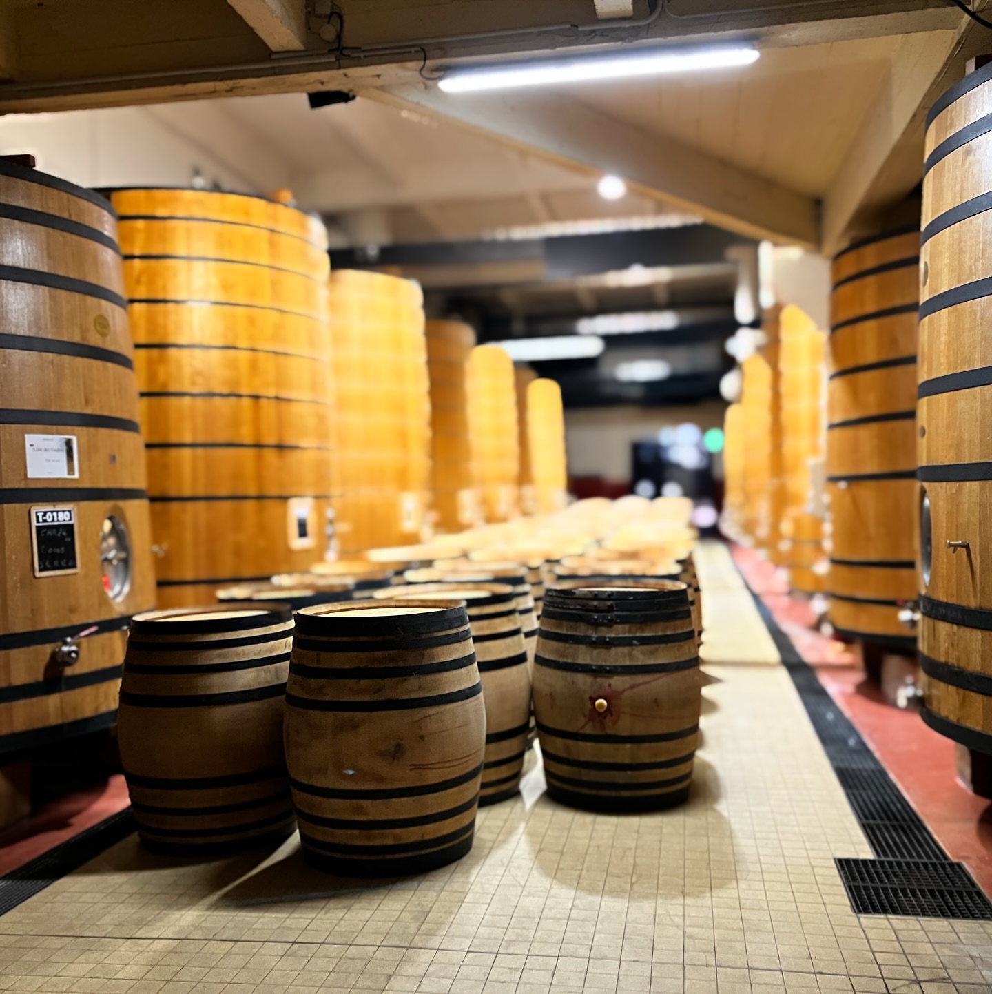 Rows of tall wooden fermentation vats and stacked oak barrels lining the dim aisle of the Cave de Tain cellar.